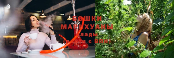 прущие крисы Бородино