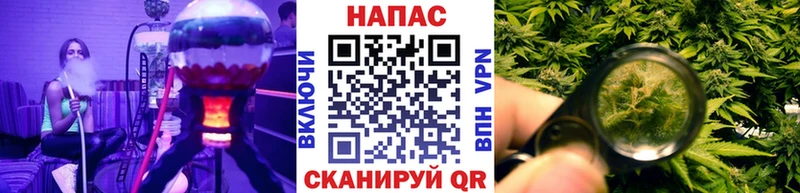 Бошки Шишки семена Касли